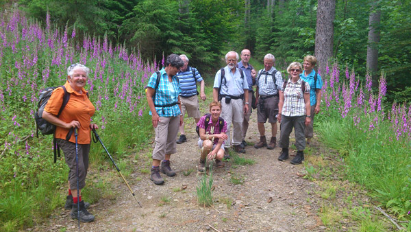 22.6. Wandergruppe umrahmt von Fingerhüten