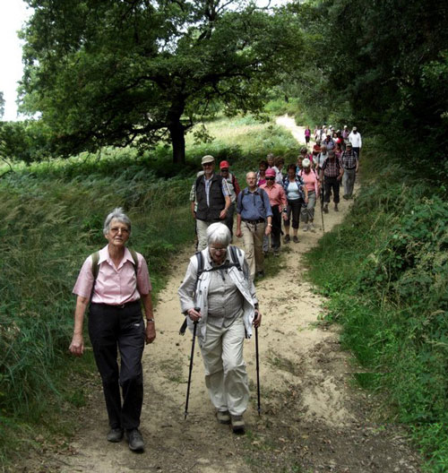 Auf Sandwegen durch die Heide