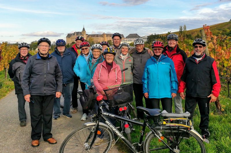 In den Weinbergen vor dem Calvarienberg